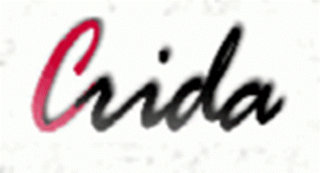 Master Métiers de l'Entrepreneuriat et du Management: Parcours Professionnel Développement Local, Entrepreneuriat dt Economie Solidaire (Dlees)