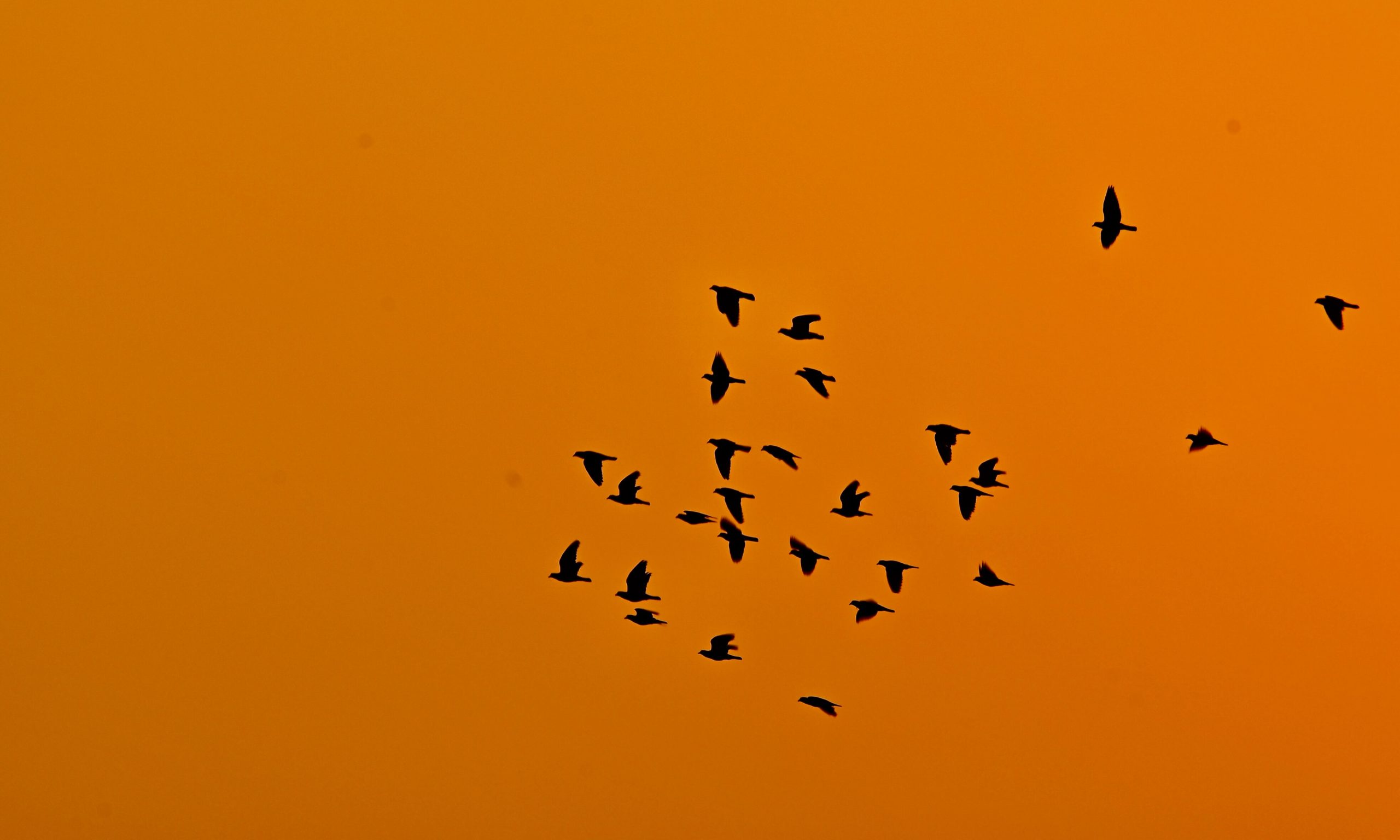 Join the EMES Affinity group "Migrations within the SE field"